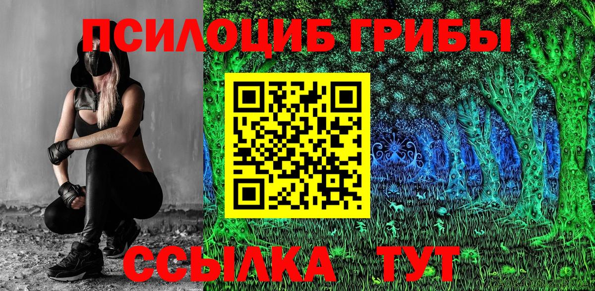 Боровичи  Галлюциногенные грибы Cubensis  Вход с VPN 